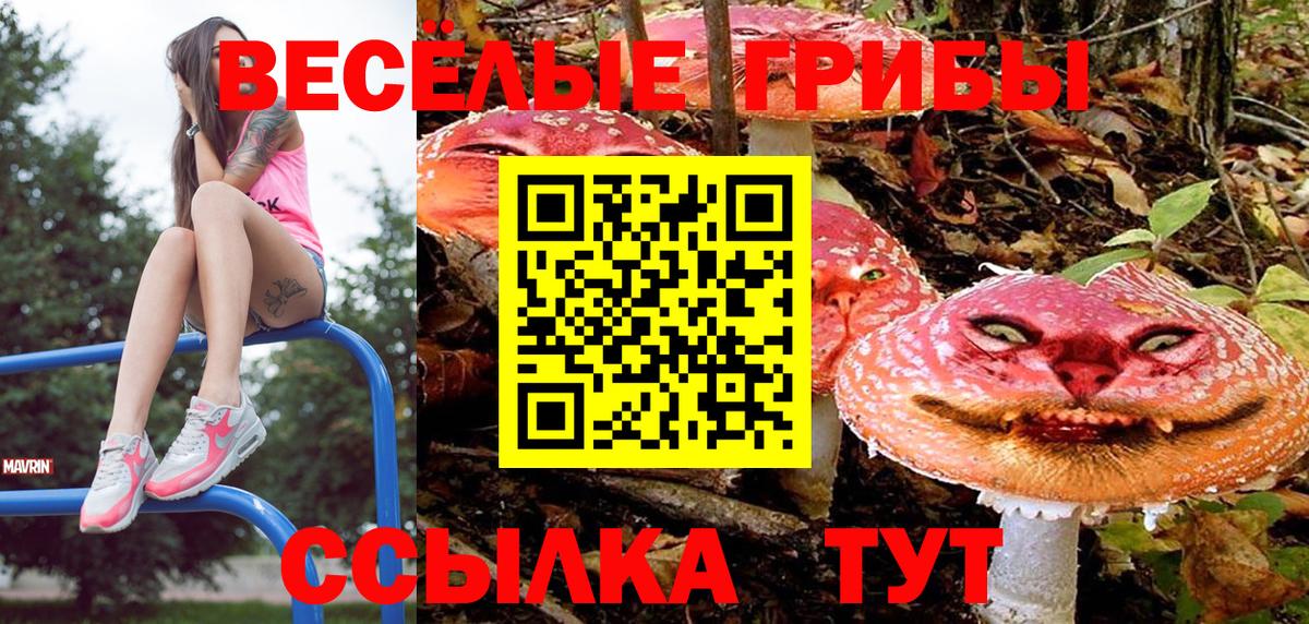 Галлюциногенные грибы MAGIC MUSHROOMS  Вход с VPN  Батайск 